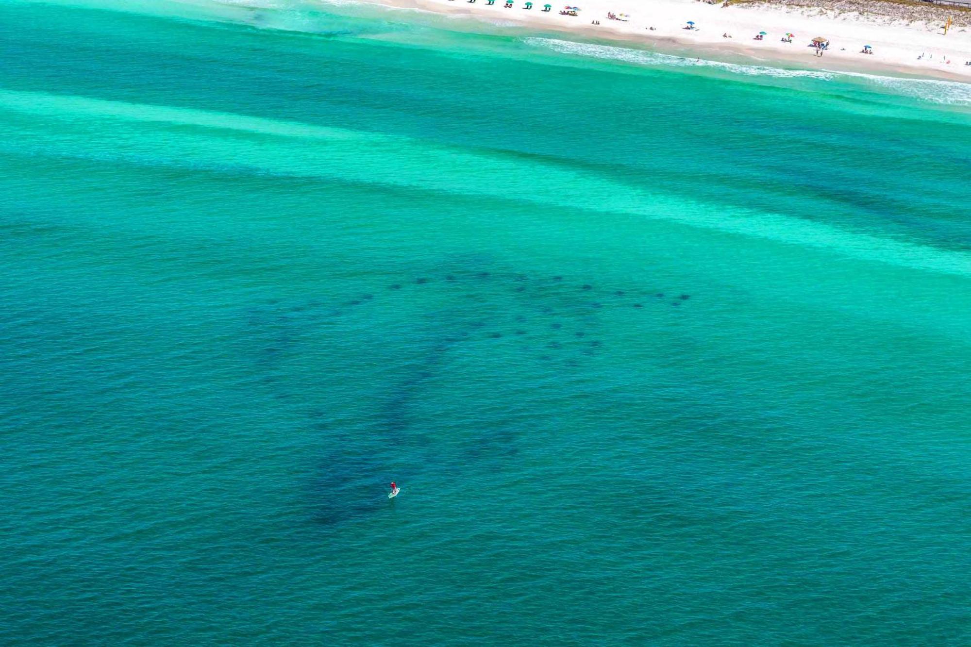 Ariel Dunes I 1307 Destin Buitenkant foto